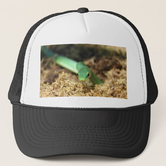 Green snake hat (Front)