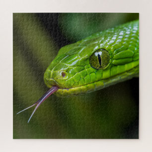 Green Snake Head Jigsaw Puzzle