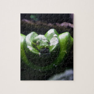 Green snake jigsaw puzzle