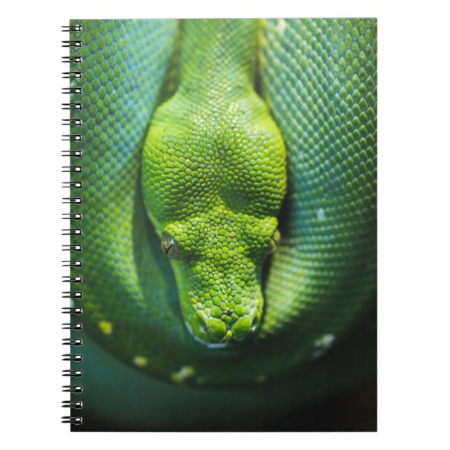 GREEN SNAKE NOTEBOOK (Front)
