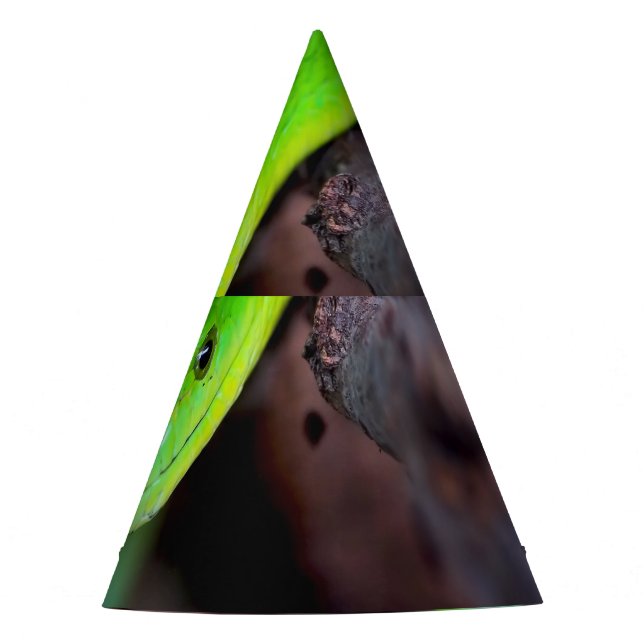 Green Snake Python Party Hat (Front)