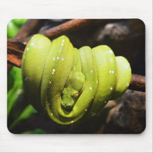 Green snake reptile mouse pad