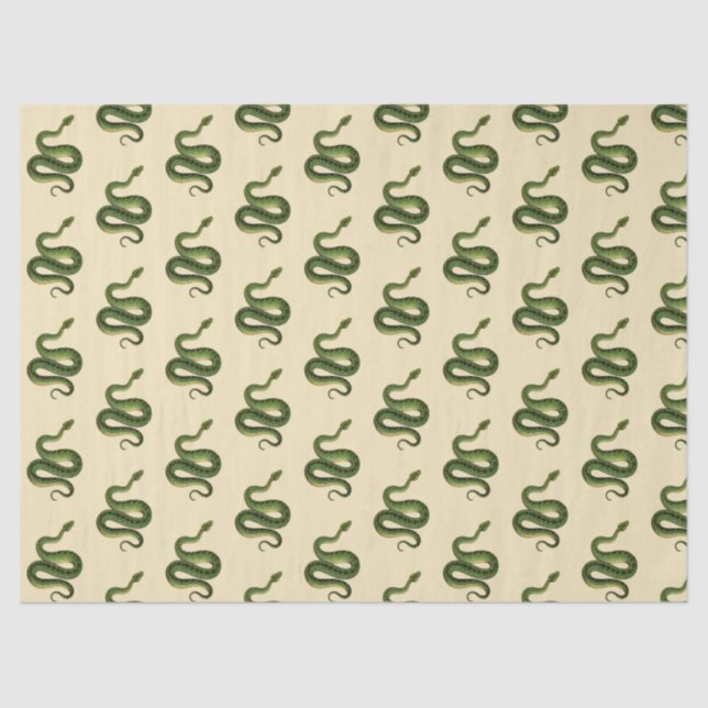 Green Snake Tissue Paper (Front)