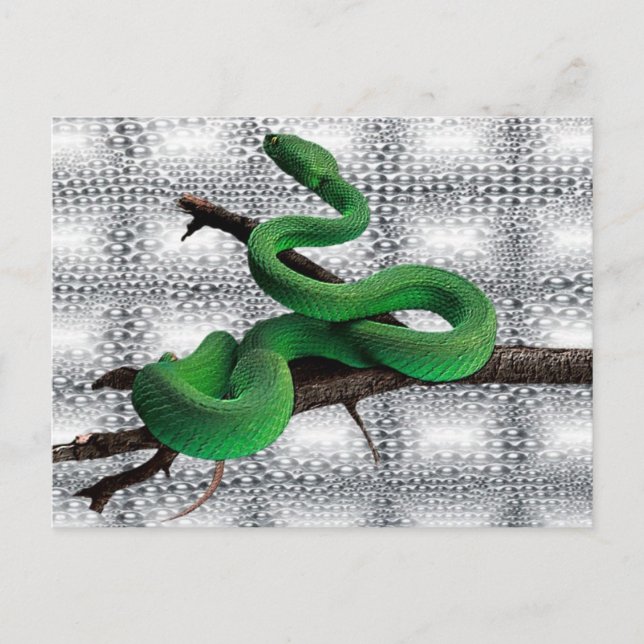 GREEN SNAKES POSTCARD (Front)