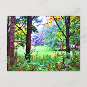 Green Space Trees Nature Misty Meadow Postcard