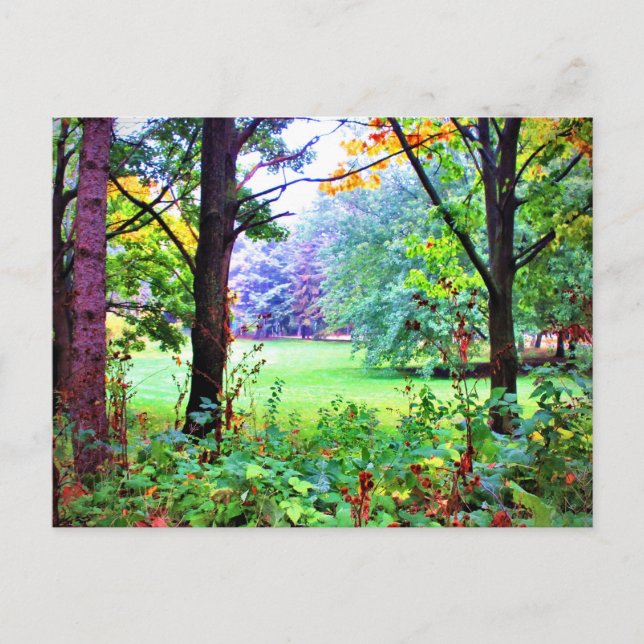 Green Space Trees Nature Misty Meadow Postcard (Front)