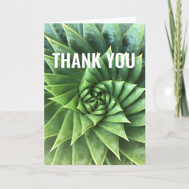 Green Spiral Aloe Polyphylla Card (Front)