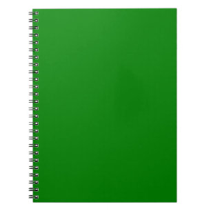 Green Spiral Notebook
