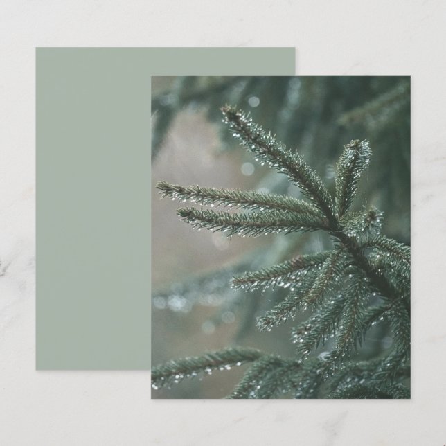 Green spruce tree, winter Scrapbook Paper (Front/Back)