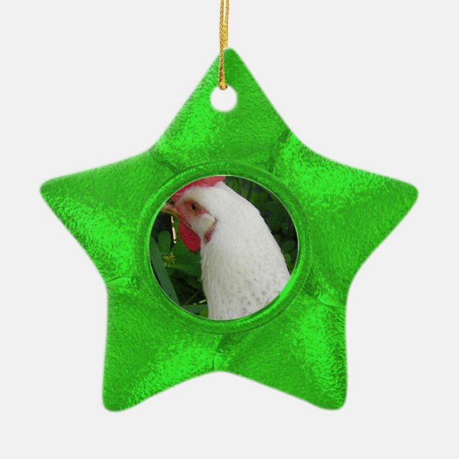 Green Star photo ornament (Front)