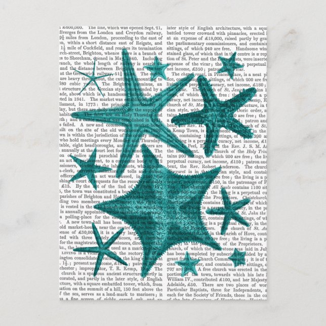 Green Starfish Collection 2 Postcard (Front)