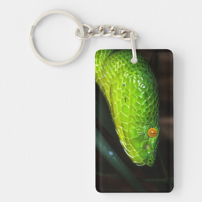 Green Stejneger's pit viper snake Keychain (Front)