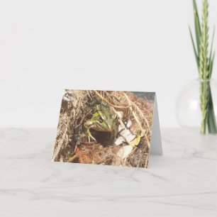 Green Striped Frog Photo Folded Note Card