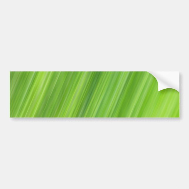 Green strips pattern bumper sticker (Front)