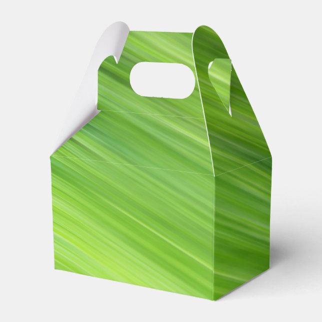 Green strips pattern favor box (Back Side)