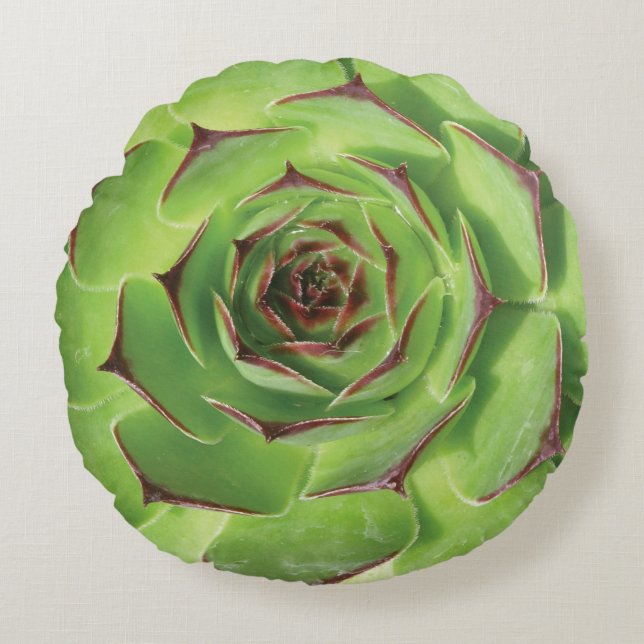 Green Succulent Cactus Spring Flower Round Pillow (Front)