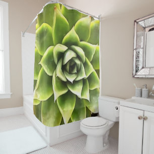 Green Succulent Close Up Cacti Art