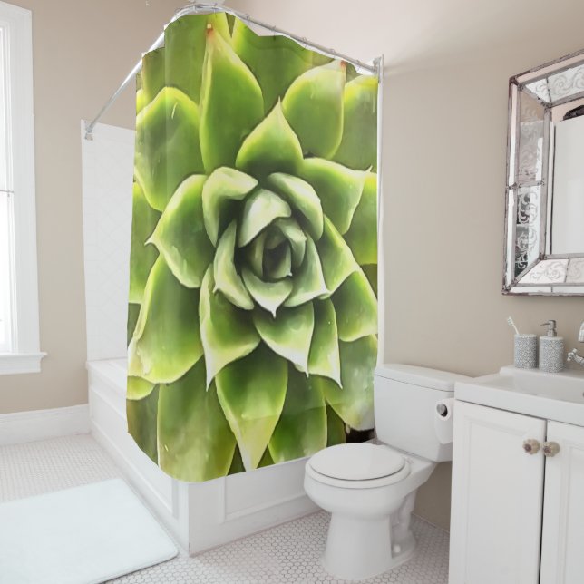 Green Succulent Close Up Cacti Art (In Situ)