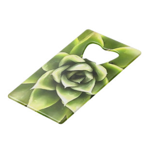 Green Succulent Close Up Cacti Art Credit Card Bottle Opener