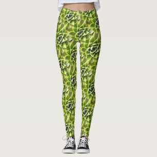 Green Succulent Close Up Cacti Art Leggings