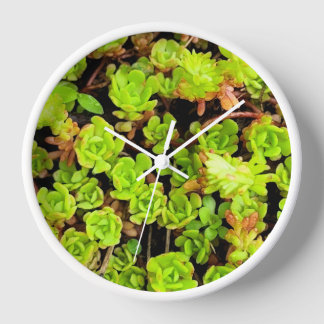 Green Succulent Flowers Clock