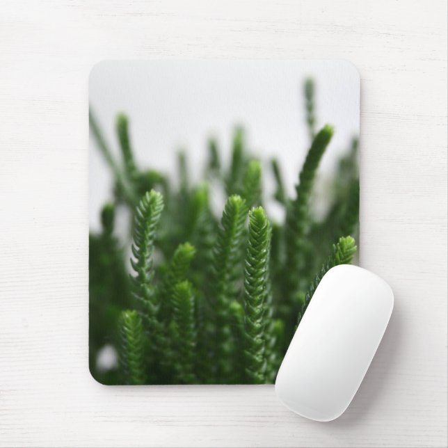 Green Succulent Grass Plant - Zen Spa Nature Photo Mouse Pad (With Mouse)