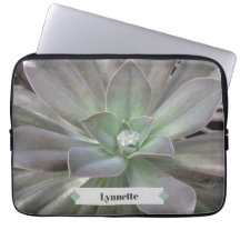 Green Succulent Personalized
