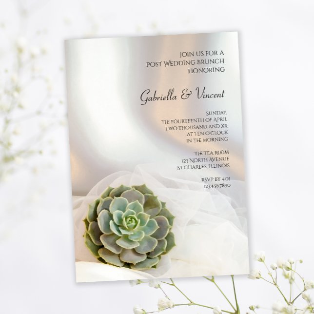 Green Succulent Post Wedding Brunch Invitation (Creator Uploaded)