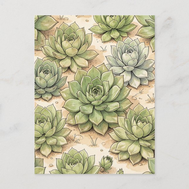 Green Succulent Rosette Pattern Postcard (Front)
