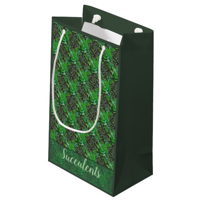 Green Succulents Lattice Pattern Gift Bags (Back Angled)