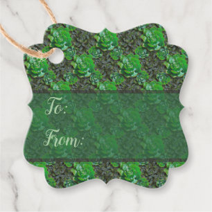 Green Succulents Lattice Pattern Gift Tags