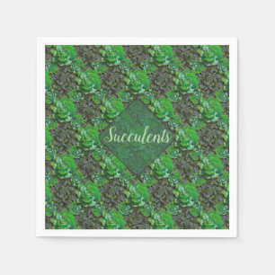 Green Succulents Lattice Pattern Paper Napkins