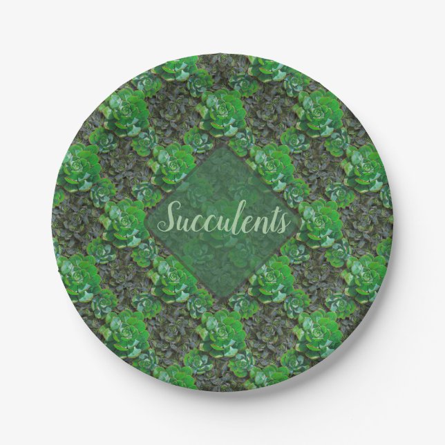 Green Succulents Lattice Pattern Paper Plates (Front)