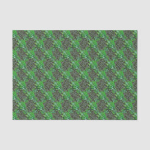 Green Succulents Lattice Pattern Tissue Paper