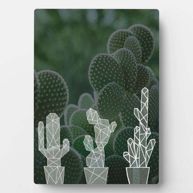 Green Succulents Plaque (Front)