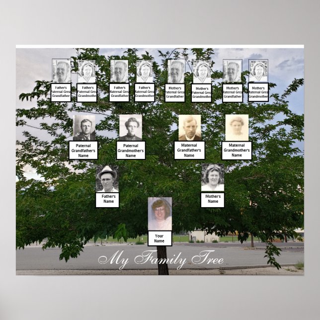 Green Summer Family Tree Photo Poster (Front)