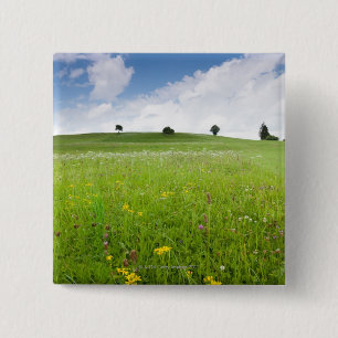 green summer meadows in bavaria, ostallgÃ¤u with 2 Inch Square Button