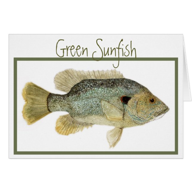 Green Sunfish card (Front Horizontal)