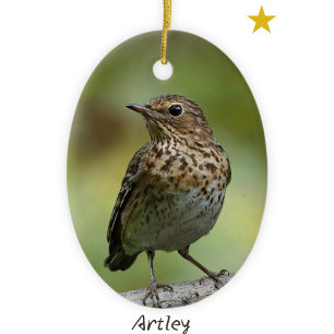 Green Swainson's Thrush Bird Painting Year Holiday Ceramic Ornament
