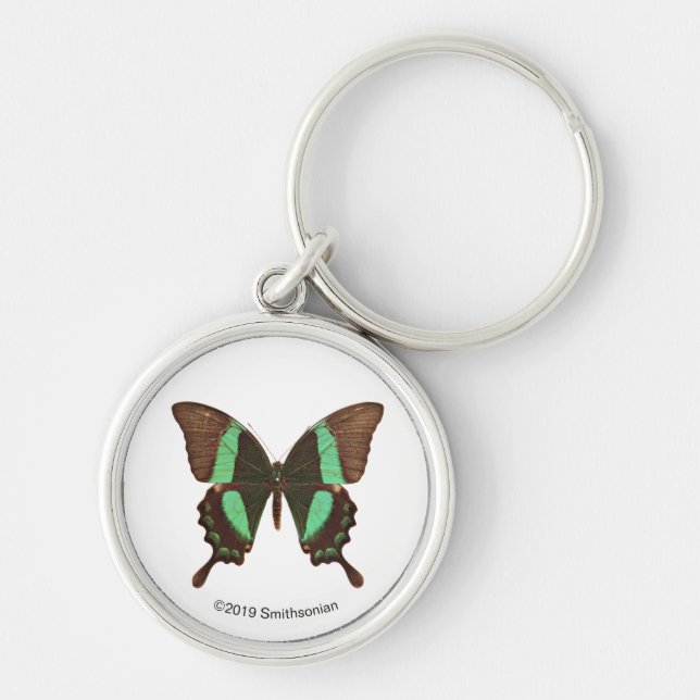 Green Swallowtail Butterfly Keychain (Front)