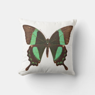 Green Swallowtail Butterfly Throw Pillow
