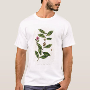 Green Tea, plate 351 from 'A Curious Herbal', publ T-Shirt