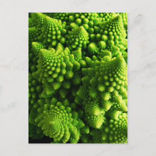 Green three dimensional Fractals Postcard