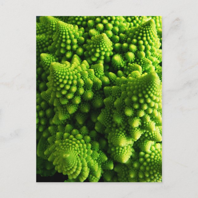 Green three dimensional Fractals Postcard (Front)
