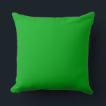 Green Throw Pillow 20" x 20"<br><div class="desc">This is for the pillow lovers. Cool!</div>