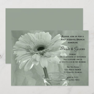 Green Tinted Daisy Post Wedding Brunch Invitation