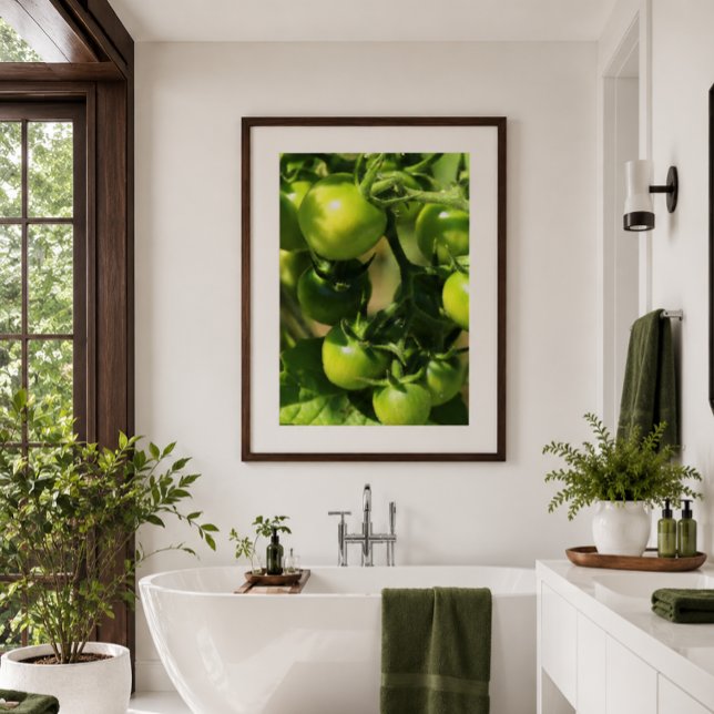 Green Tomatoes Poster (Fresh botanical tomato poster brings natural color and spa-inspired elegance to modern bathrooms.)
