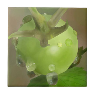 Green tomatoes tile