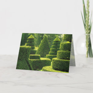 Green Topiary - Greeting Card
