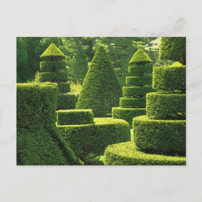 Green Topiary - Postcard (Front)